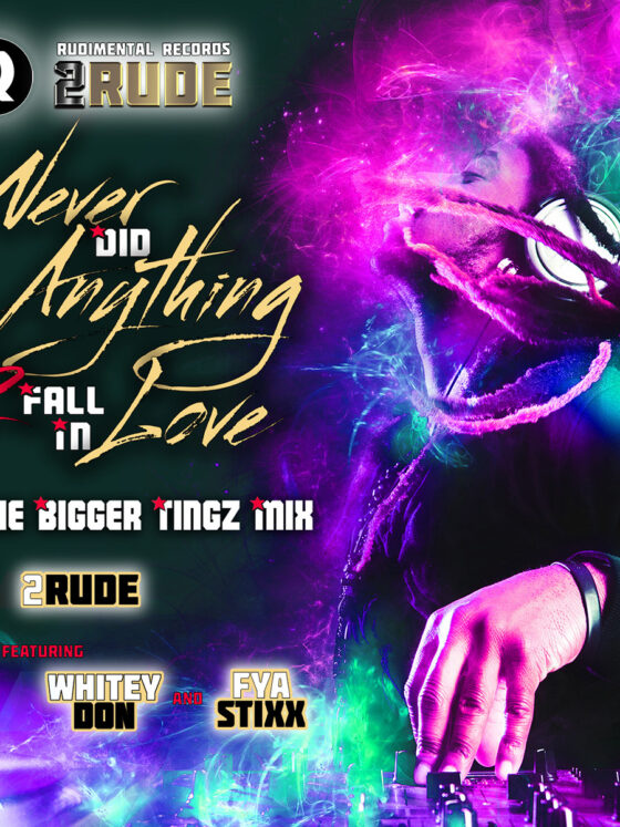 Rudimental Records "Never Did Anything To Fall In Love' Artwork